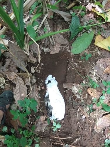 photo_2018-09-22_16-17-19