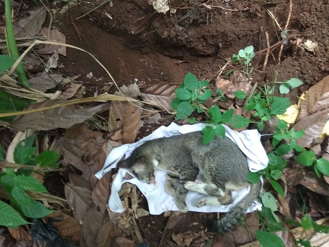 photo_2018-09-22_16-17-12